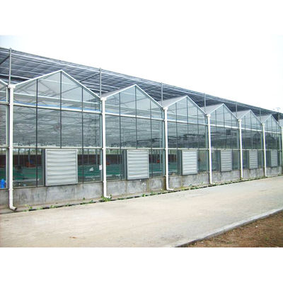 qualité  Tomato Mushroom Growing with Commercial Hydroponic Systems Gothic Polycarbonate Cover Type Greenhouse usine