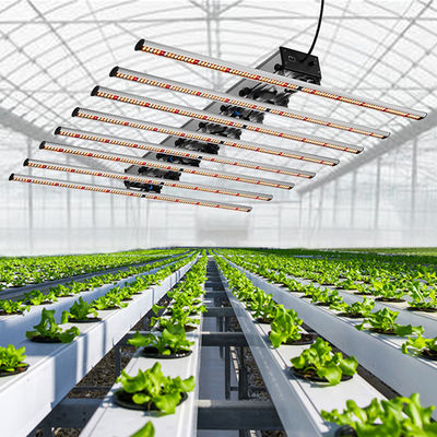 qualité  Seed Starting Full Spectrum Cob Led Grow Light For Medicinal Plants Veg And Flower 1000W LED Grow Light usine