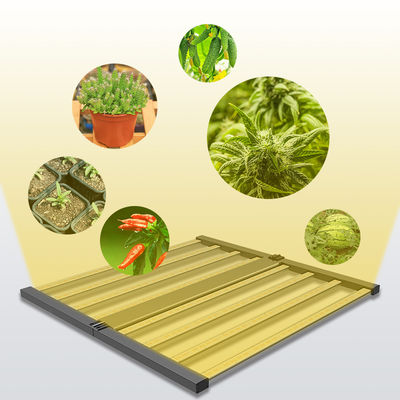 qualité  Seed Seed Growing Full Spectrum 600W Indoor Plants Hydroponic Lamp Folding Greenhouse Lamp Dimmable 4x4 lm301h Led Grow Light usine